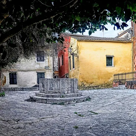 Domus *