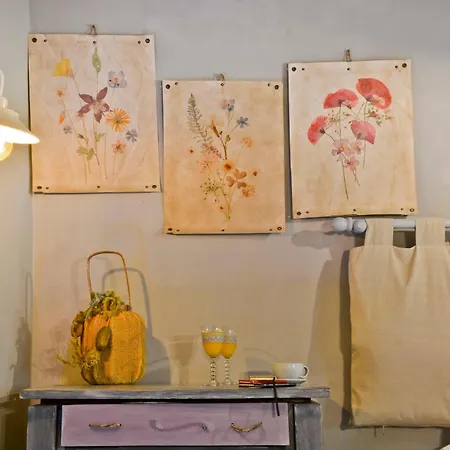 Domus Апартаменты *